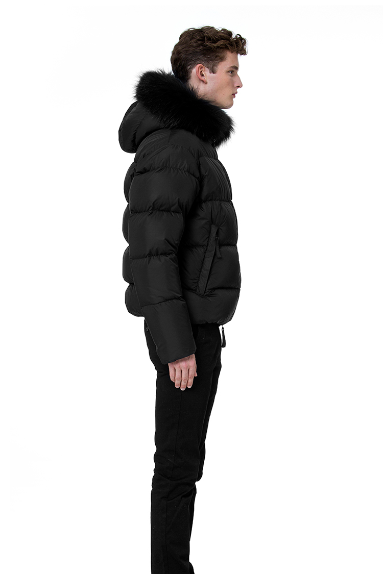 vegaquattro ベガクアトロ