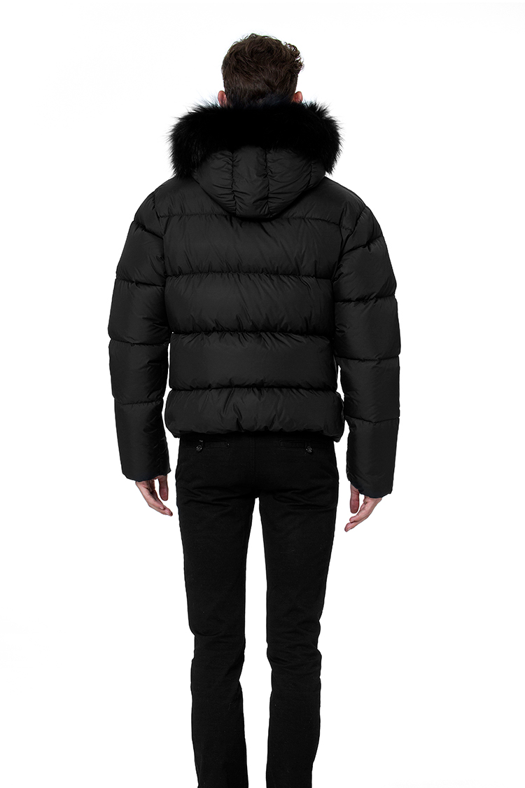 vegaquattro ベガクアトロ