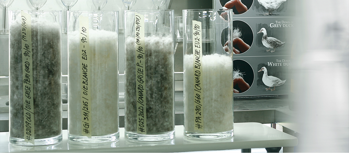 同重量の異なるダウンの容量比較(左から、グレーグース、ホワイトグース、グレーダック、ホワイトダック)