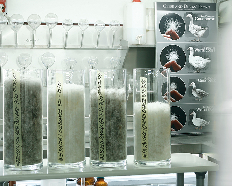同重量の異なるダウンの容量比較（左から、グレーグース、ホワイトグース、グレーダック、ホワイトダック）