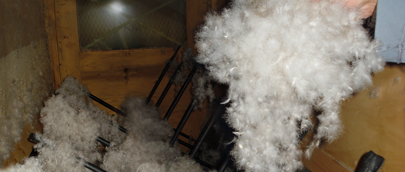 分類装置の一番奥の部屋に隔離されたダウン