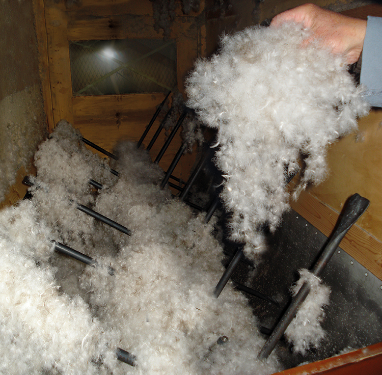 分類装置の一番奥の部屋に隔離されたダウン