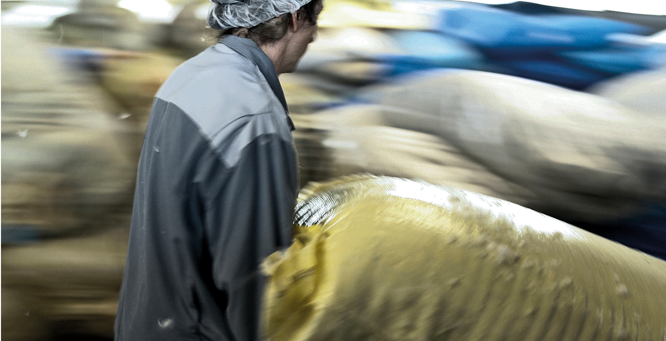 出荷間近となったダウンが詰められた袋