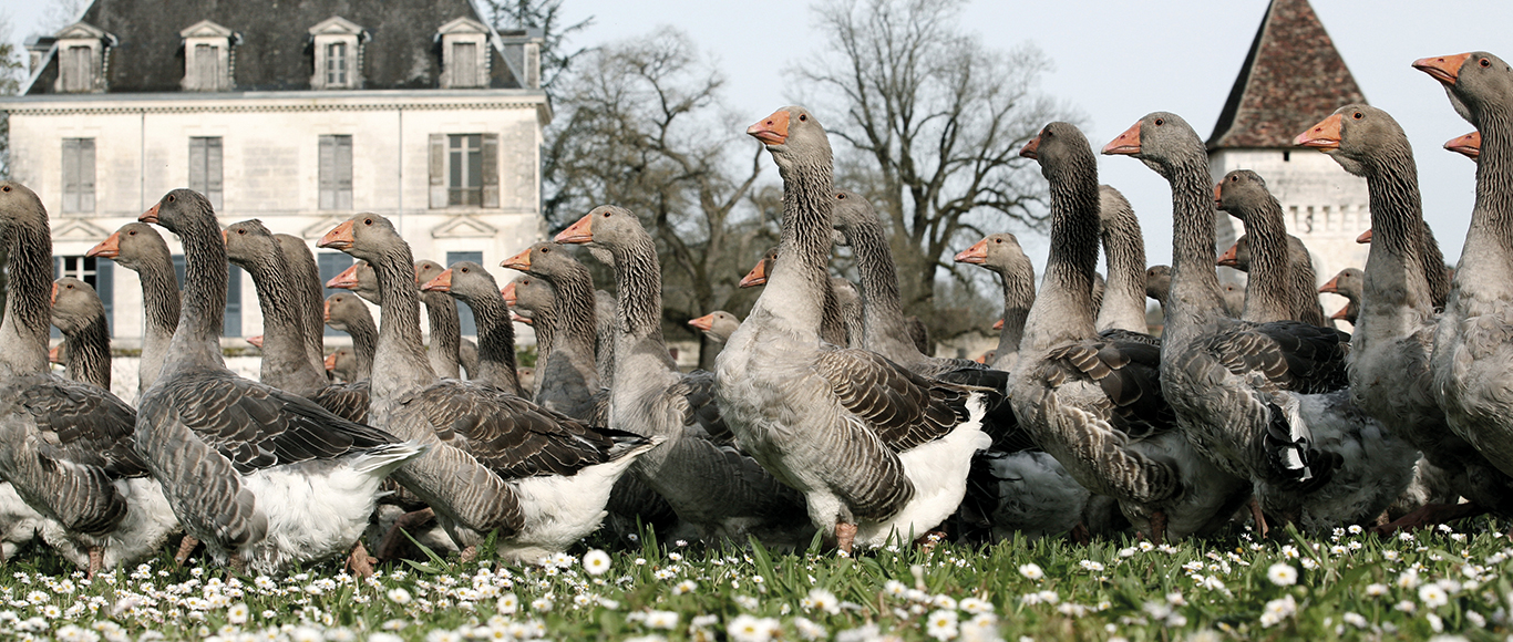 un dono della natura.