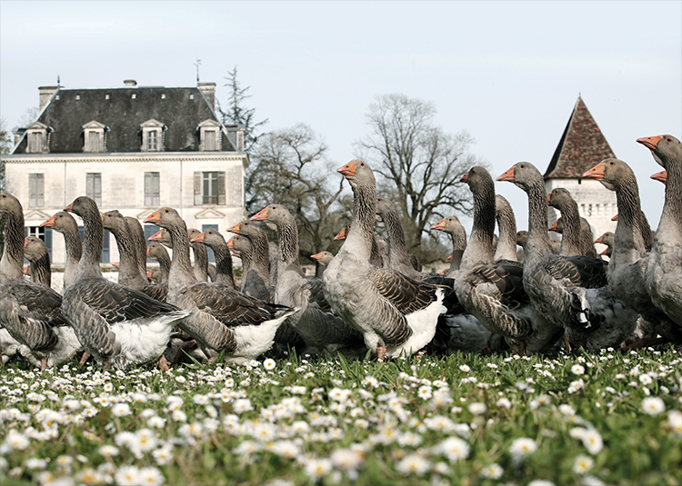 un dono della natura.